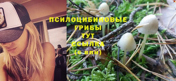 марки nbome Алзамай
