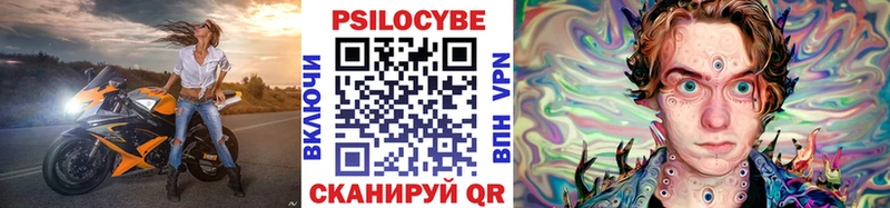 Псилоцибиновые грибы Psilocybe  Александровск 