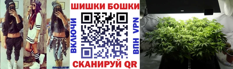 Бошки Шишки MAZAR  Александровск 